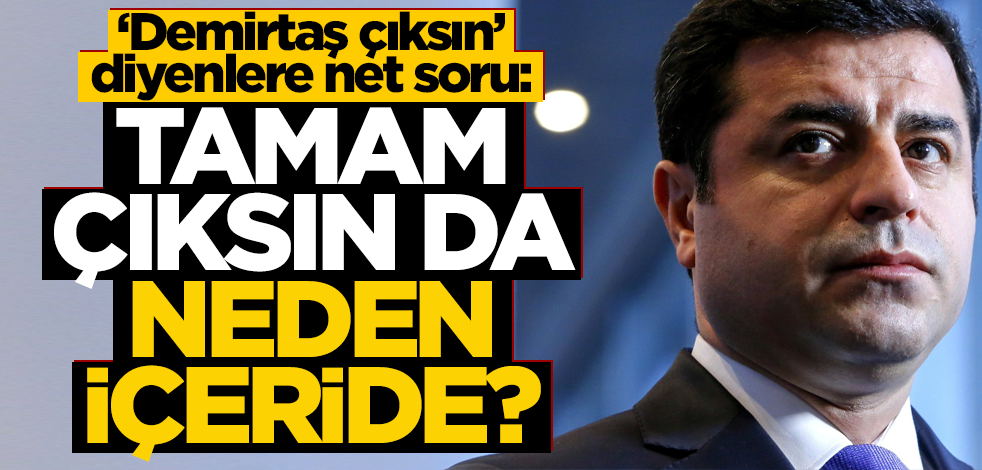 "Demirtaş çıksın" diyenlere net soru: Tamam çıksın da, neden cezaevinde?