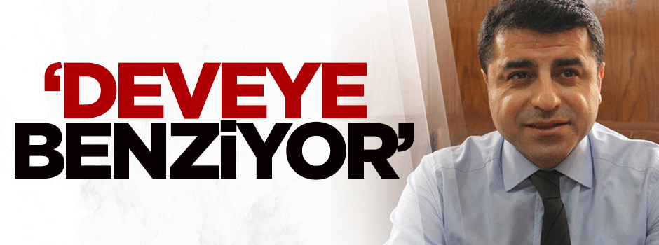 Demirtaş: Deveye benziyor