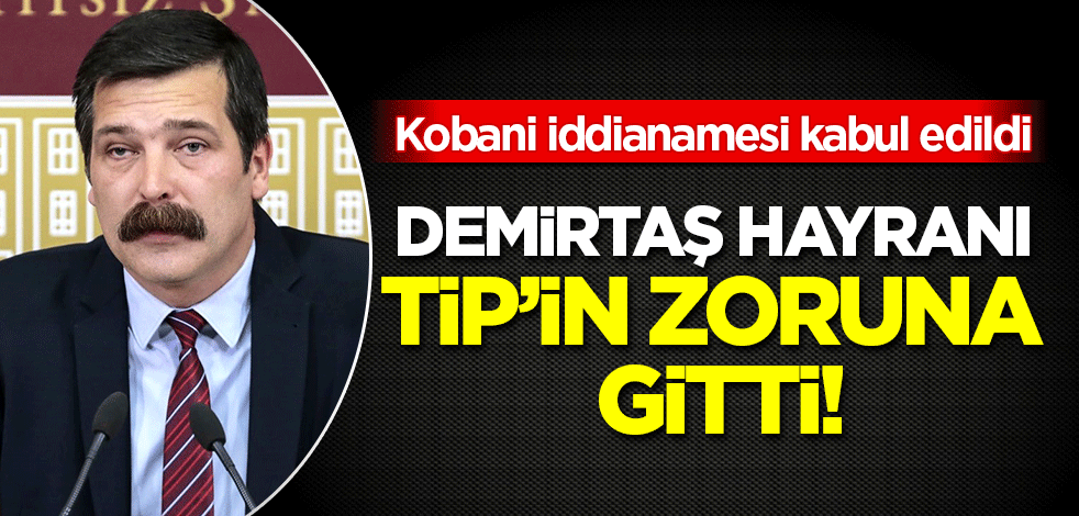Demirtaş hakkındaki iddianame TİP'in zoruna gitti!