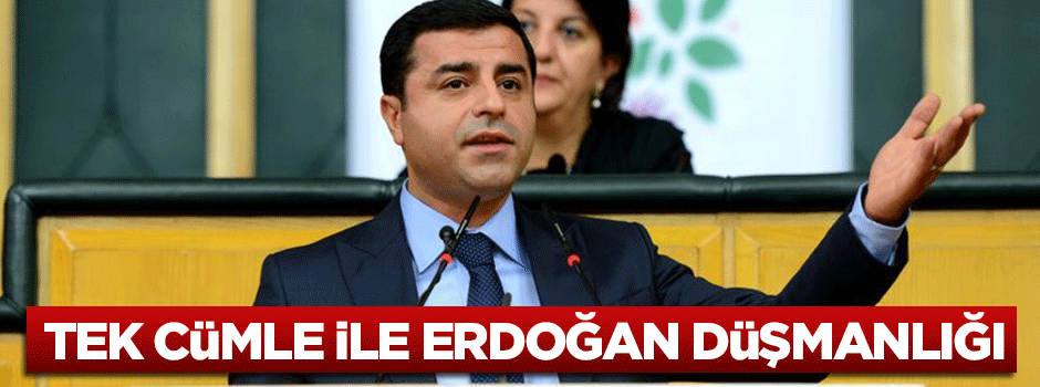 Demirtaş: HDP olduğu sürece Erdoğan başkan olamayacak