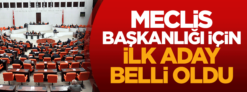 Demirtaş, HDP'nin Meclis Başkanı adayını açıkladı