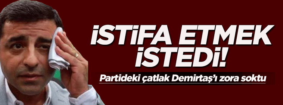 Demirtaş istifa etmek istedi