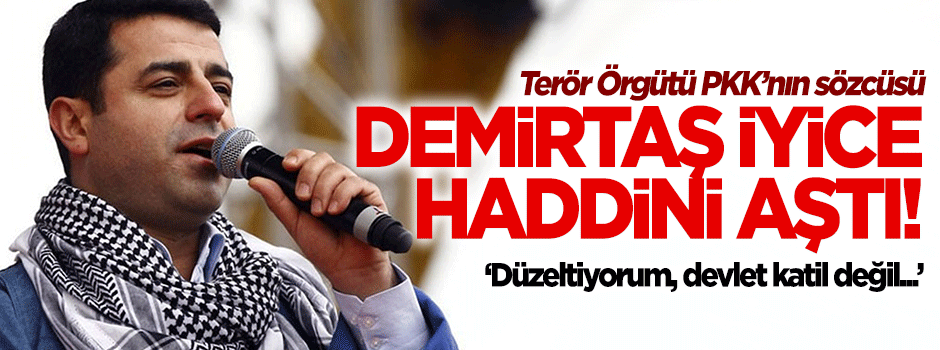 Demirtaş iyice haddini aştı!