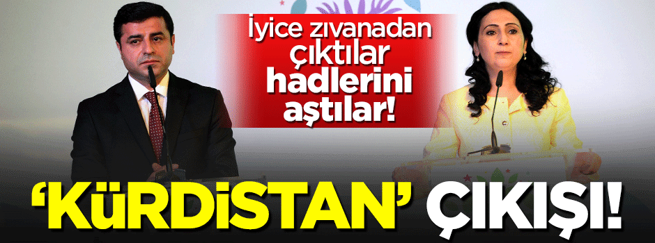 Demirtaş iyice zıvanadan çıktı: Kürtlerin devleti yok
