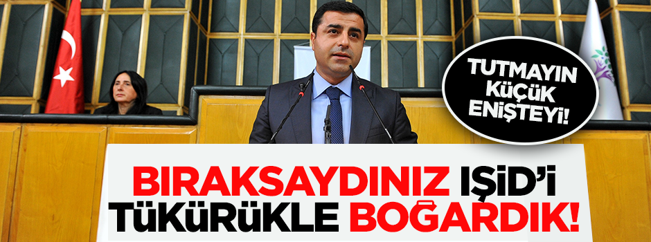Demirtaş: Kapıyı açsaydınız IŞİD'i tükürükle boğardık