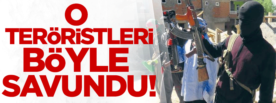 Demirtaş o teröristleri savundu!