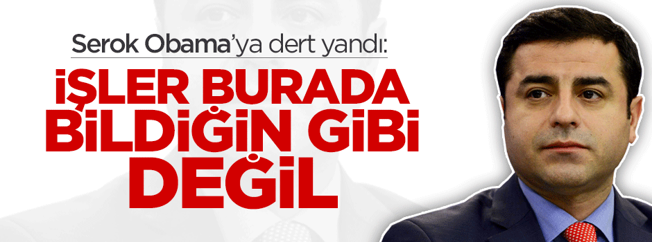 Demirtaş, Obama’ya dert yandı: İşler bildiğin gibi değil