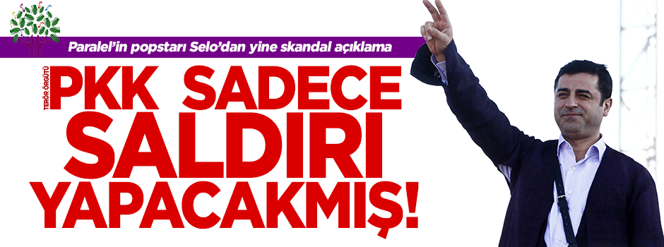 Demirtaş: PKK sadece misilleme yapacak