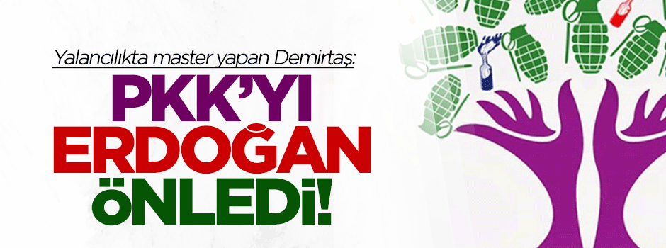 Demirtaş: PKK'yı Erdoğan engelledi
