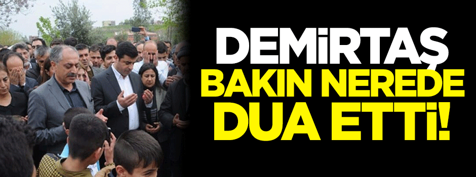Demirtaş teröristlerin mezarında dua etti