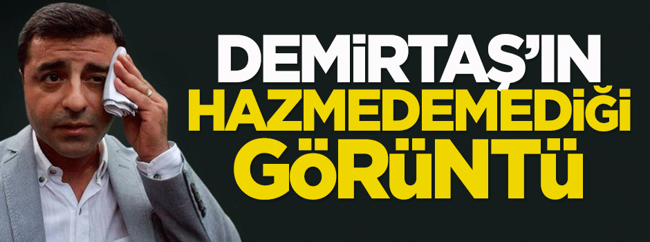 Demirtaş Türk bayrağını hazmedemedi