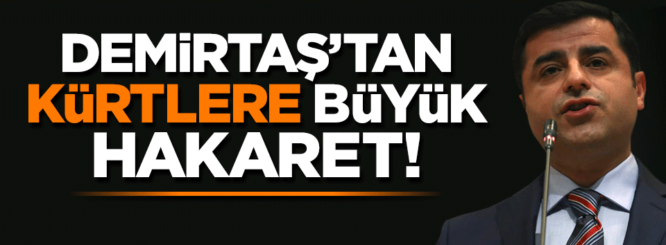 Demirtaş: Vize kalkarsa Kürtler AB'ye akın eder