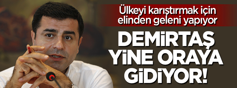 Demirtaş yine Avrupa'ya gidiyor