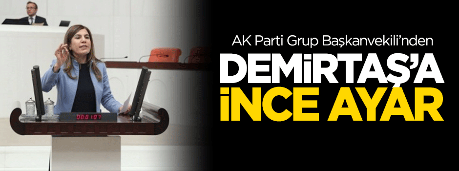 Demirtaş'a ince ayar