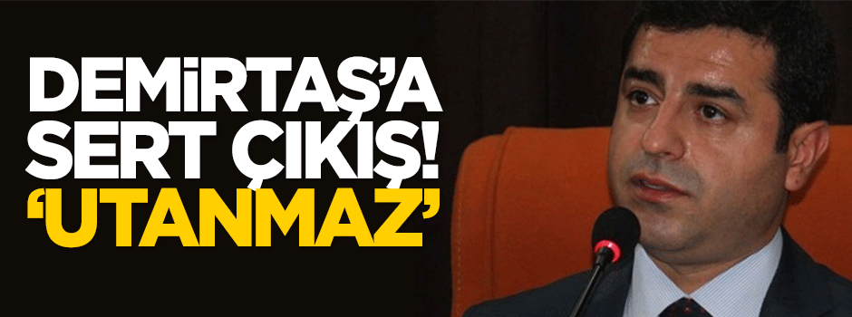 Demirtaş'a sert çıkış: Utanmaz!