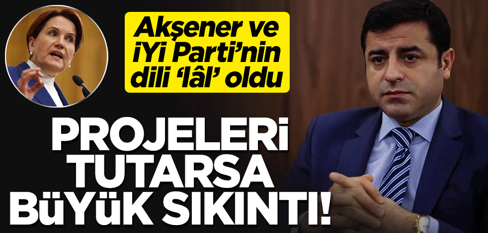 Demirtaş’a sessiz kalan İyi Partililer, "Proje'niz tutarsa ne olur farkında mısınız?"
