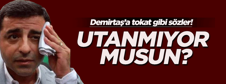 Demirtaş'a tokat gibi söz: Utanmıyor musun?
