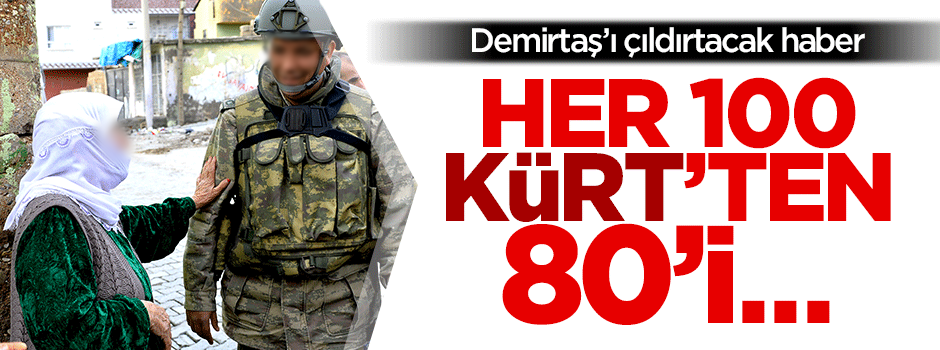 Demirtaş’ı çıldırtacak araştırma! Kürt halkı hendeğe karşı