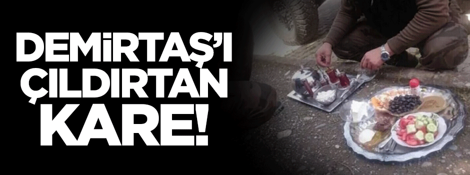 Demirtaş'ı çıldırtan kare!