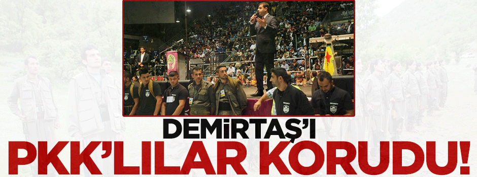 Demirtaş'ı PKK'lılar korudu!