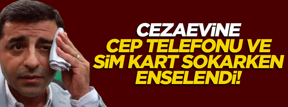 Selahattin Demirtaş'ın avukatı cep telefonu ve sim kart sokarken yakalandı!