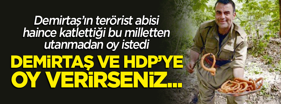 Selahattin Demirtaş'ın terörist abisi katlettiği bu milletten utanmadan oy istedi