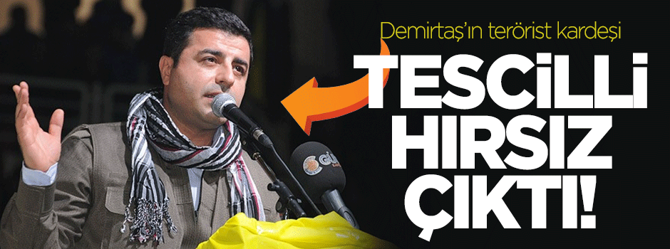 Demirtaş'ın terörist kardeşi hırsızlıktan da hüküm giymiş