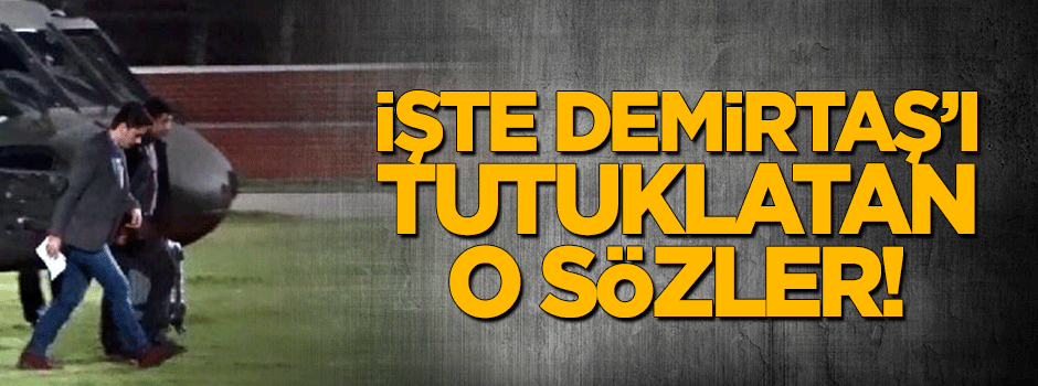 Demirtaş'ın tutuklanmasında o tweet somut delil oldu!