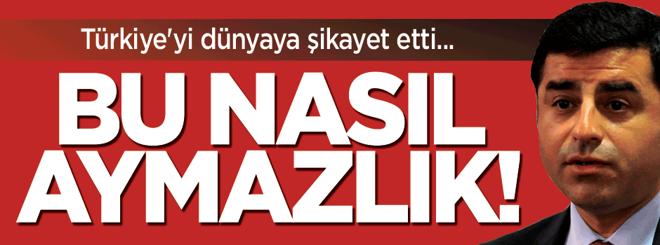 Demirtaş'tan ABD'de Türkiye hakkında skandal açıklama