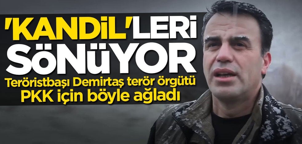 Demirtaş'tan çökme noktasındaki terör örgütü için ayaklanma ve eylem çağrısı