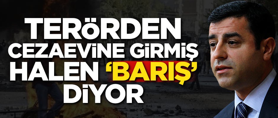Demirtaş'tan komik savunma! 'Barış için yaptığımız tüm faaliyetler siyasi konjonktür değişince suç gibi yansıtıldı'