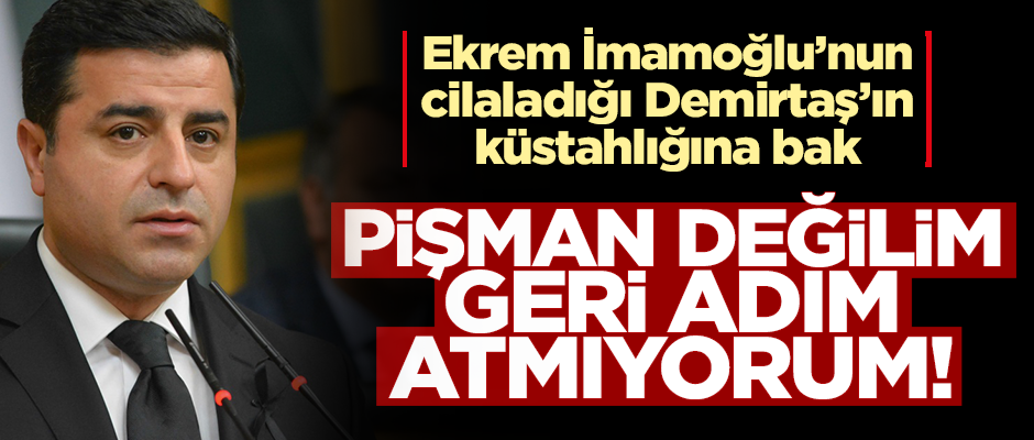Demirtaş'tan küstah sözler! "Geri adım atmayacağım"