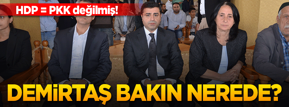 Demirtaş'tan PKK'lılara taziye ziyareti!