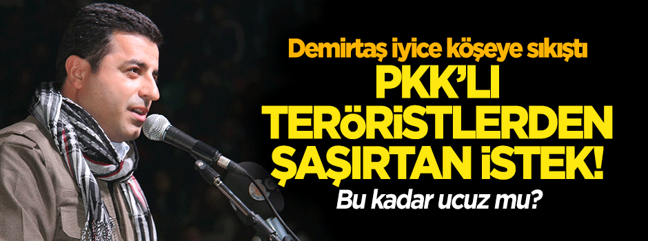 Demirtaş'tan skandal 'özür' isteği!