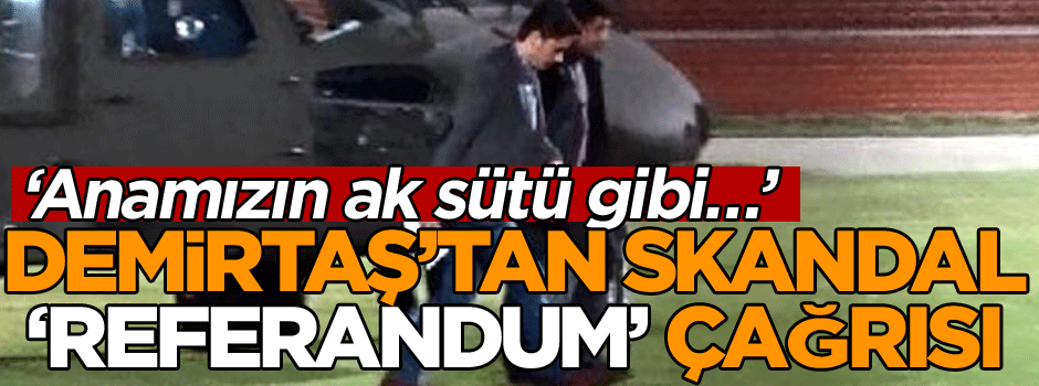 Demirtaş’tan skandal ‘referandum’ çağrısı ‘Anamızın ak sütü gibi…’