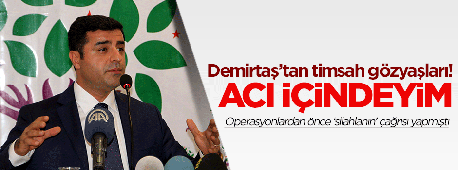 Demirtaş'tan timsah gözyaşları: Acı içindeyim