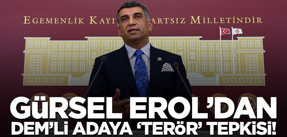 DEM'li adaya CHP'li Erol'dan 'terör' tepkisi! 'Bu bir ihanettir'