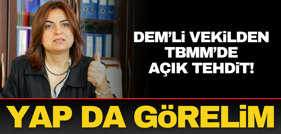 DEM’li vekilden TBMM’de açık tehdit! Hadi yap da görelim