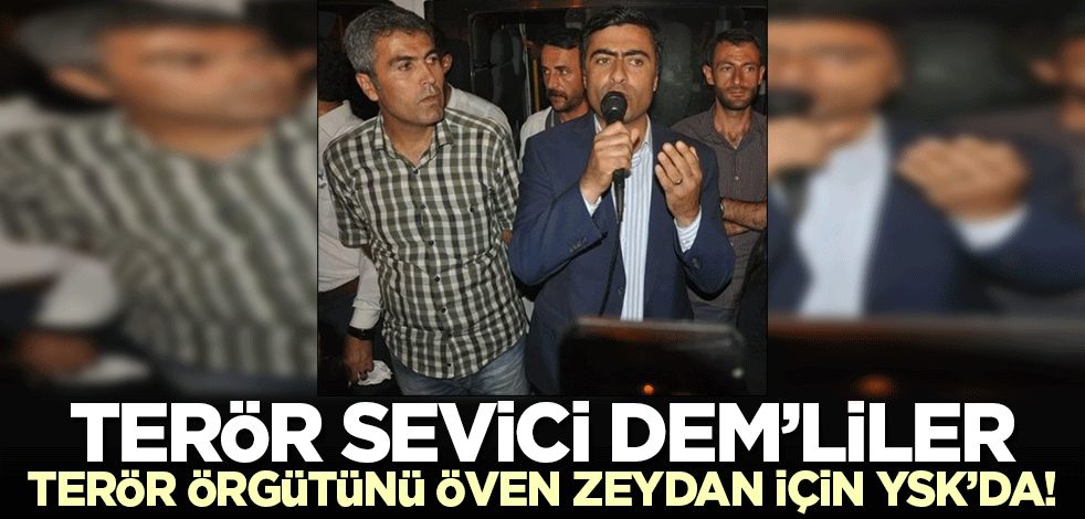 DEM'liler 'PKK sizi tükürüğüyle boğar' diyen Zeydan için YSK'da!