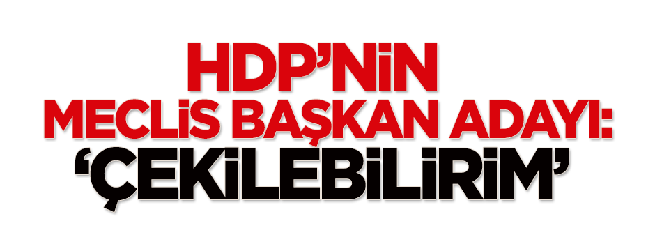 Dengir Mir Mehmet Fırat: Çekilebilirim