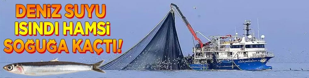 Deniz ısındı hamsi soğuğa kaçtı!
