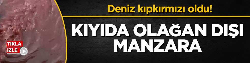 Deniz kıpkırmızı oldu! Kıyıda olağan dışı manzara
