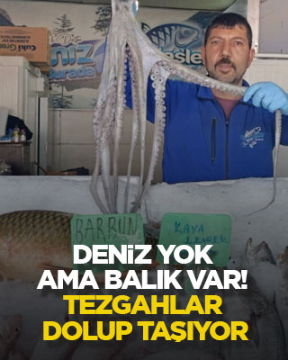 Deniz yok ama balık var! Tezgahlar dolup taşıyor
