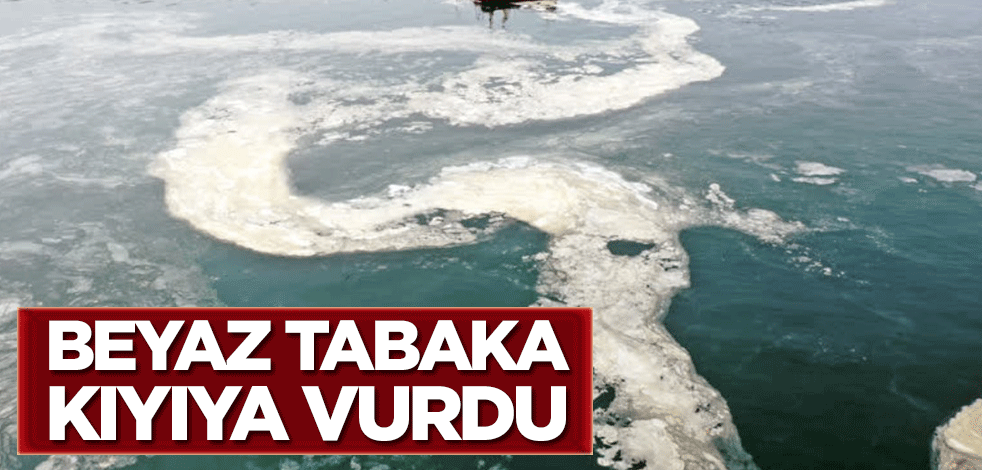 Deniz yüzeyinde oluşan beyaz tabaka kıyıya vurdu!