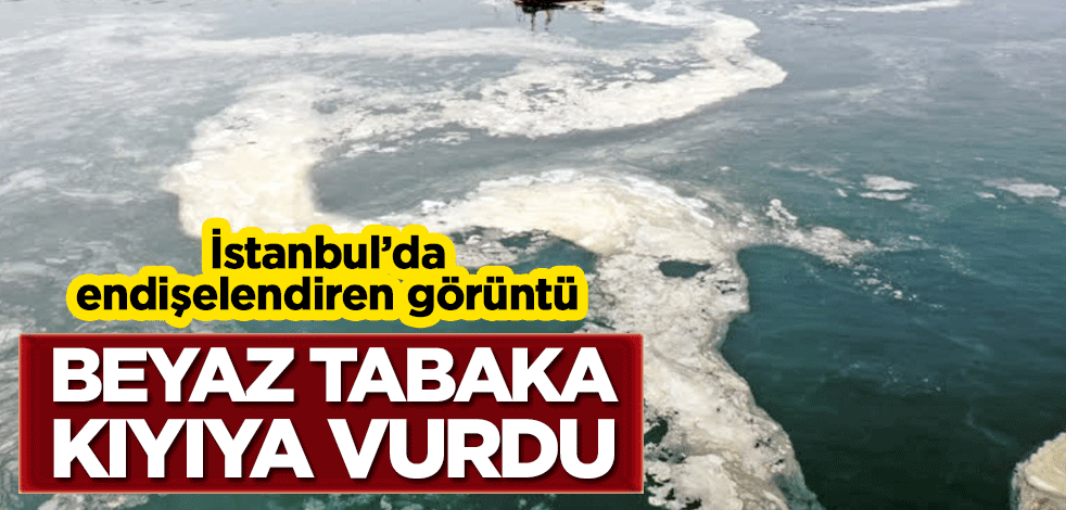 Deniz yüzeyinde oluşan beyaz tabaka kıyıya vurdu!