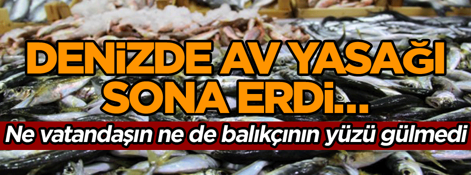 Denizde av yasağı sona erdi… Ne vatandaşın ne de balıkçının yüzü gülmedi