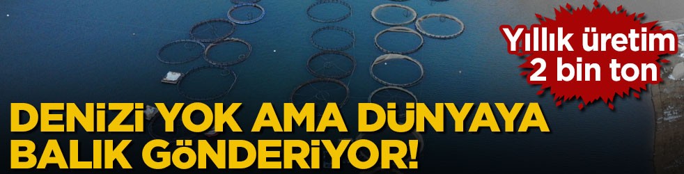 Denizi yok ama dünyaya balık gönderiyor! Yıllık üretim 2 bin ton