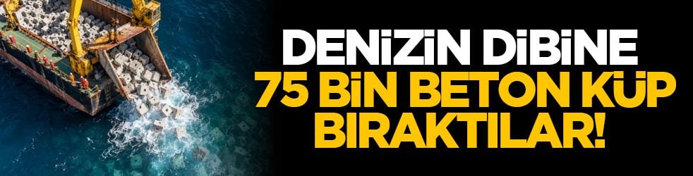 Denizin dibine 75 bin beton küp bıraktılar!