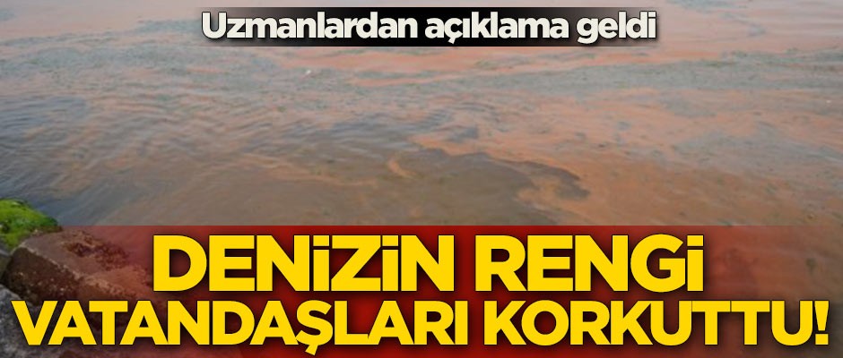Denizin rengi vatandaşları korkuttu! Uzmanlardan açıklama geldi