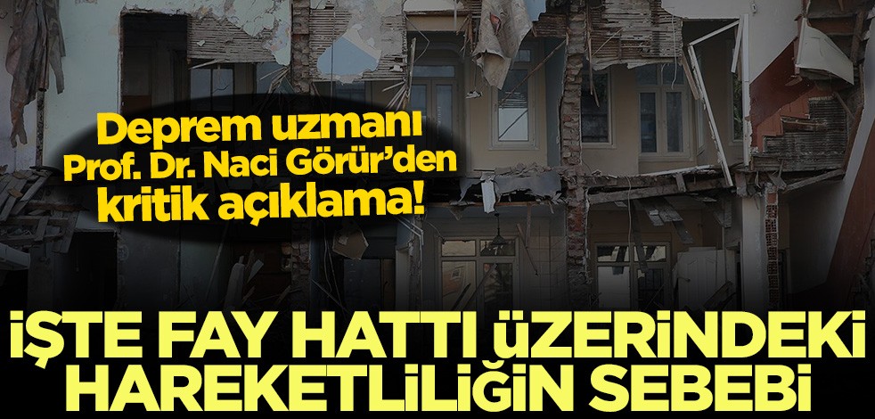 Deprem uzmanı Prof. Dr. Naci Görür’den kritik açıklama! İşte fay hattı üzerindeki hareketliliğin sebebi